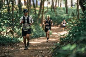 BIB: 
                            <button type="button" onclick="openModal(25335804)" class="btn btn-primary btn-sm float-right btn-popup" data-toggle="modal" data-target=".modal-high-quality">
                        <i class="fas fa-shopping-cart"></i> Add to Cart
                    </button>
                                            <button type="button" onclick="isThisMe(25335804, true)" class="btn btn-success btn-sm float-right btn-popup btn-isme hidden" data-toggle="tooltip" data-placement="bottom" title="นี่คือรูปของคุณใช่ไหม คลิกที่นี่เพื่อเอาเข้าอัลบั้ม">
                        <i class="fas fa-plus"></i> Add to album
                    </button>
                    <button type="button" onclick="isThisMe(25335804, false)" class="btn btn-warning btn-sm float-right btn-popup btn-isnotme hidden">
                        <i class="fas fa-ban"></i> Remove from album
                    </button>